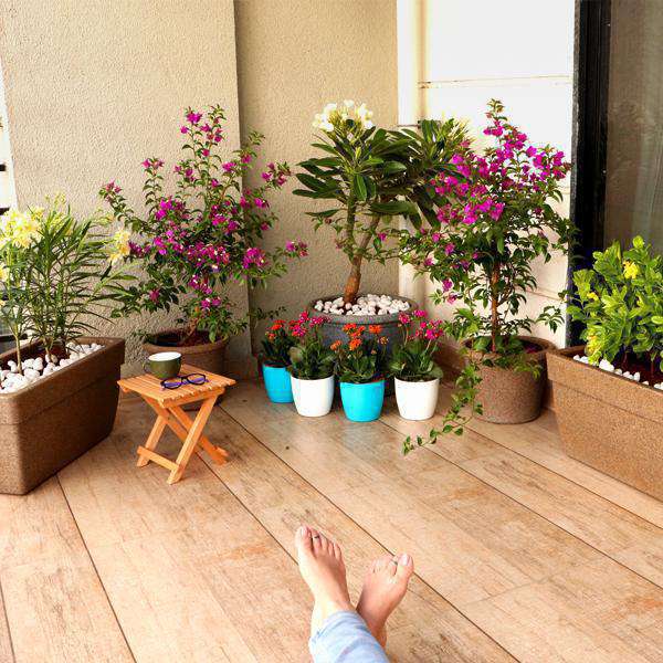 Vibrant flowers and lush greenery transform any balcony with the Balcony Garden collection