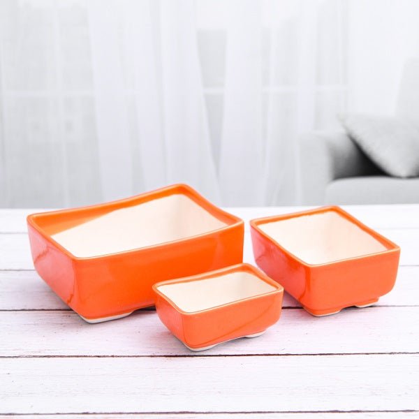 Bonsai Planters collection showcasing ceramic and decorative pots for miniature tree cultivation