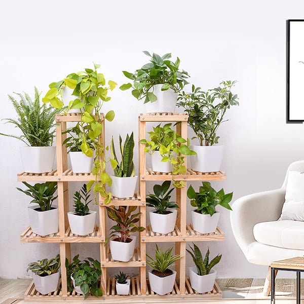 Indoor Garden collection featuring lush houseplants and potted greenery for home decor