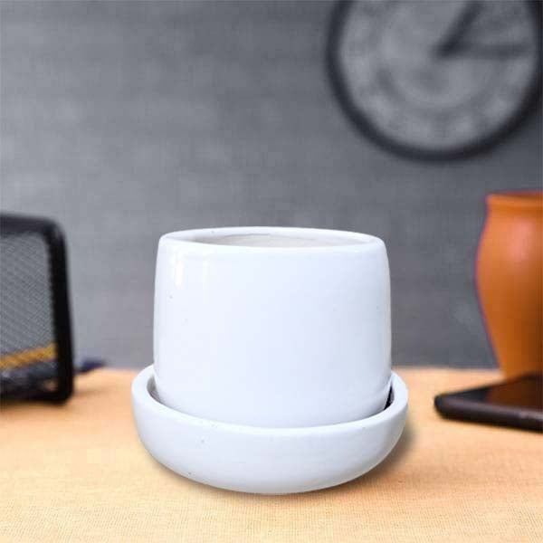 3.5 inch (8 cm) Jar Shape Round Ceramic Pot with Plate (White)