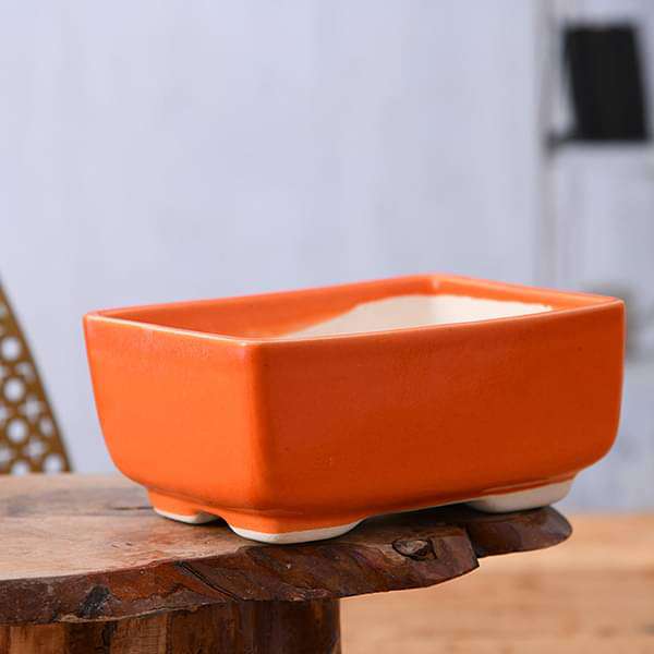 5 inch (13 cm) Bonsai Rectangle Ceramic Pot (Orange)