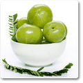 Amla - seeds