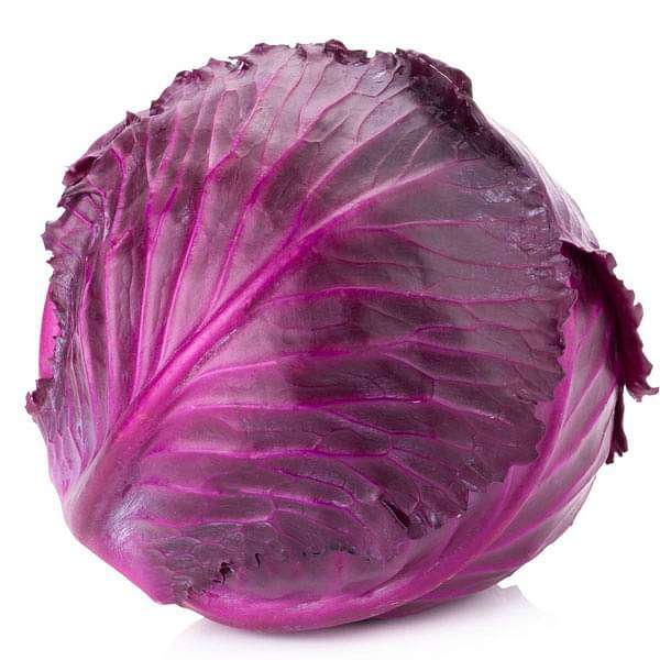 Cabbage Red Imported - Vegetable Seeds