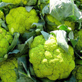 Cauliflower Green Verde - Vegetable Seeds