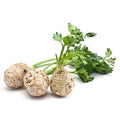 Celery Cutting Leaf Common - Vegetable Seeds
