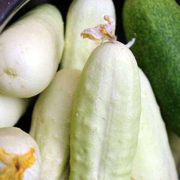 Cucumber F1 White Long - Vegetable Seeds