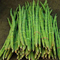 Drumsticks, Moringa Oleifera - Vegetable Seeds