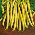 Dwarf Bean Golden Teepee - Vegetable Seeds