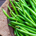 France Beans OS Imported Black, French Beans Black - Vegetable Seeds