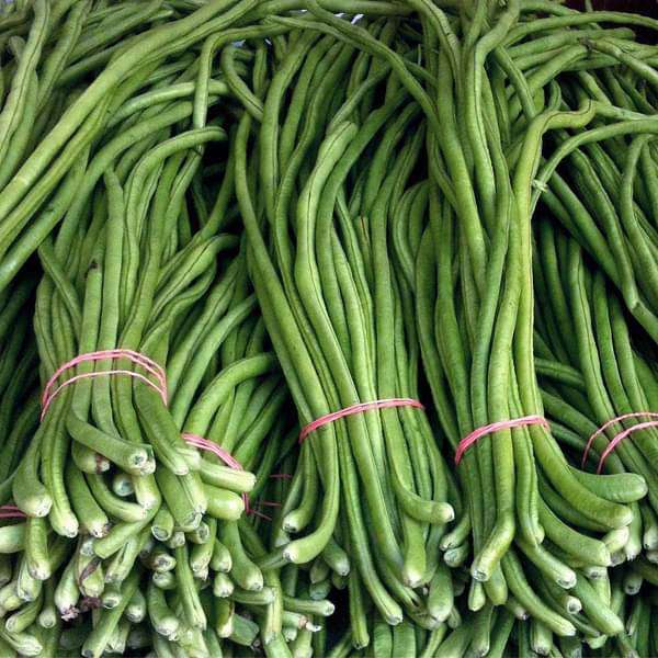 Lobia Beans - Desi Vegetable Seeds
