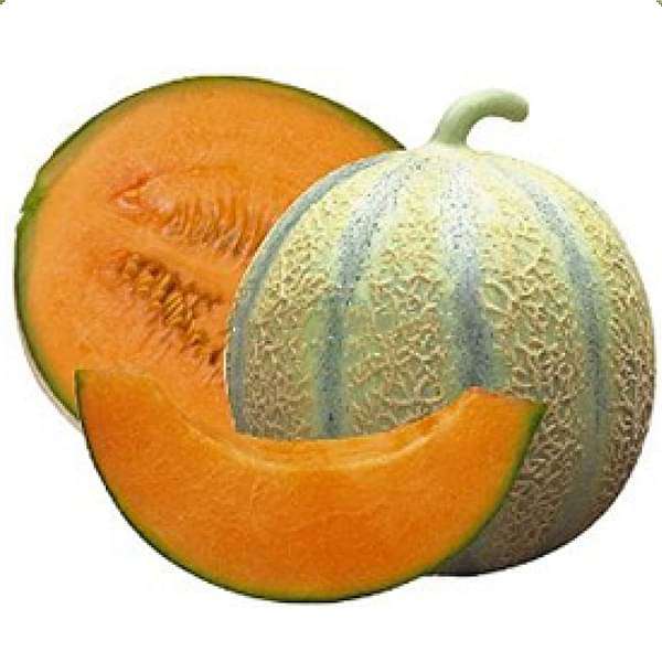 Muskmelon - 0.5 kg Seeds
