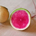 Radish Green Round - Vegetable Seeds
