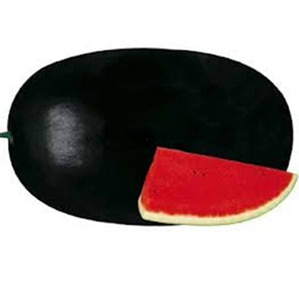 Water Melon F1 Sanya 786 - Fruit Seeds